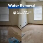 XPOWER XD-130Li LGR Dehumidifier – 125 PPD AHAM, 420 CFM, Bluetooth - Image 11