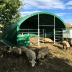 13' x 13' Livestock Corral Shelter with front door - Image 4