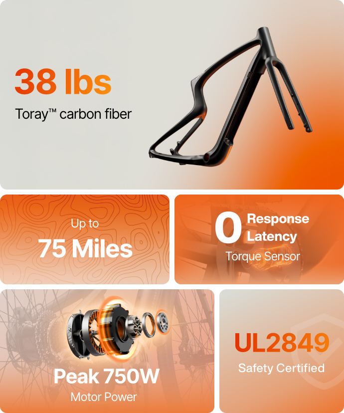 Carbon Classic E-Bike