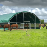 20' x 20' Livestock Corral Shelter with front door - Image 2