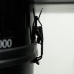 HP Vacuflo DB5000 - Central Vacuum Power Unit with CleanShield™ System - Image 7