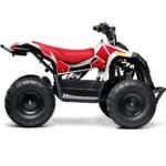 MotoTec E-Bully 36V/15Ah 1000W Kids Electric ATV - Image 15