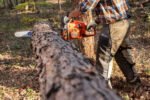 Husqvarna 460 Rancher Chainsaw 24″ #970515834 - Image 2