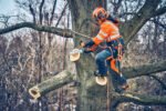 Husqvarna T542i XP Top-Handle Battery Chainsaw Kit - Image 2