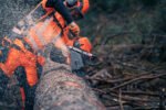 Husqvarna 592 XP® Chainsaw - Image 2