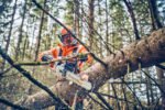 Husqvarna 562 XP® G Mark II Heated Handle Chainsaw - Image 2