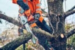Husqvarna 542i XP® G Heated Handle Battery Chainsaw - Image 2