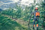 Husqvarna 535i XP Chainsaw #967893874 - Image 3