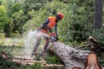 Husqvarna 550 XP® G Mark II Heated Handle Chainsaw - Image 4