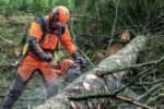 Husqvarna 550 XP® Mark II Chainsaw - Image 6