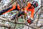 Husqvarna T525 Chainsaw 12″ #970737212 - Image 4