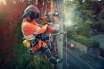 Husqvarna T540i XP Top Handle Chainsaw Kit 16″ #967863704 - Image 4