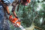 Husqvarna 555 Chainsaw - Image 3