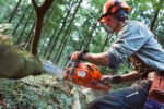 Husqvarna 555 Chainsaw - Image 4