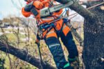 Husqvarna T542i XP® G Top-Handle Battery Chainsaw with Clutch - Image 7