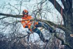 Husqvarna 542i XP® G Heated Handle Battery Chainsaw - Image 4