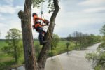 Husqvarna T540 XP® Mark III Chainsaw - Image 2