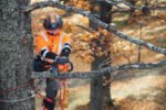 Husqvarna T435 Chainsaw 14″ #966997234 - Image 3