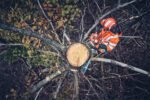 Husqvarna 562 XP® MARK II Chainsaw - Image 3