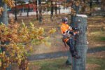Husqvarna 550i XP® Chainsaw - Image 2