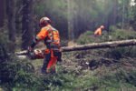 Husqvarna 564 XPG Fuel Injected Heated Handle Chainsaw - Image 6