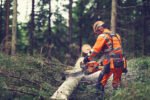 Husqvarna 564 XPG Fuel Injected Heated Handle Chainsaw - Image 3