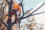 Husqvarna 550i XP® G® Heated Handle Chainsaw - Image 3