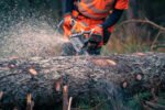 Husqvarna 592 XP® Chainsaw - Image 6