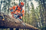Husqvarna 562 XP® G Mark II Heated Handle Chainsaw - Image 5
