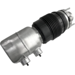 Air Suspension Spring Cylinder - Right - Panamera | 2017-2024