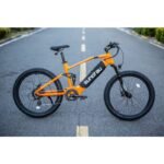 Eunorau Defender Fat Tire Dual Motor Electric Mountain Bike - Image 4