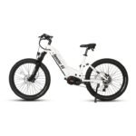Eunorau Specter-ST Step-Thru Fat Tire Electric Mountain Bike - Image 8