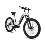Eunorau Specter-ST Step-Thru Fat Tire Electric Mountain Bike - Image 9