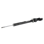 Front Suspension Strut - Panamera | 2017-2021