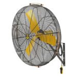Big Ass Fans AirEye 36" Wall Mount Fan