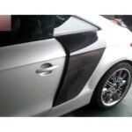 Audi TT/TTS/R8 Carbon Fiber Side Door Fender Flares (2010+)