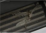Grille Insect Screening Mesh Toyota Land Cruiser Prado FJ 150 2014-2017 - Image 4